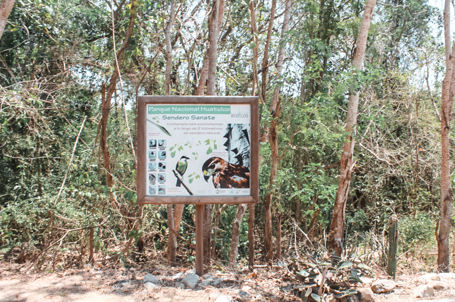 How to get to Cacaluta Bay in Huatulco. This post marks the entrance to the jungle, where you'll have to walk for thirty minutes before getting to the best beach in Huatulco.