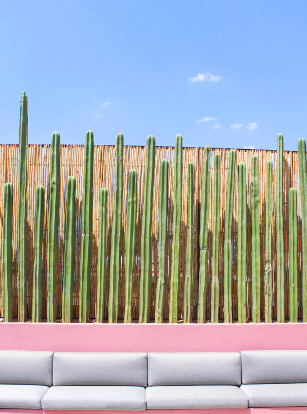 Where to stay in Oaxaca and things to do Jalatlaco (1 de 3)-2 Where to stay in Oaxaca and things to do Jalatlaco (1 de 3)-2