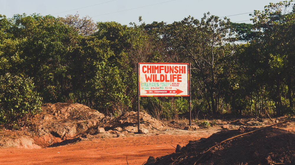 Chimfunshi Wildlife Sanctuary sing