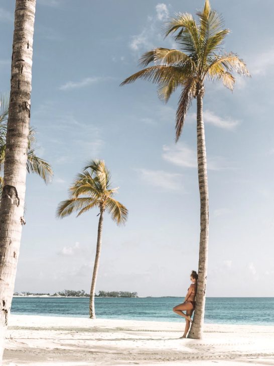 Things To Do in Diani Beach