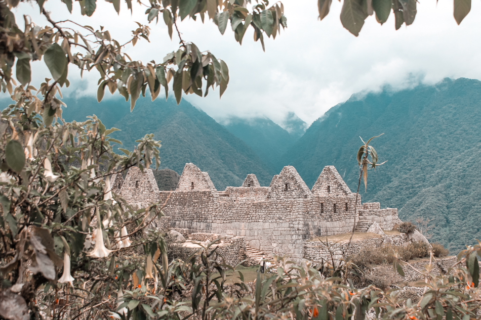 The citadel of Machu Picchu, Peru