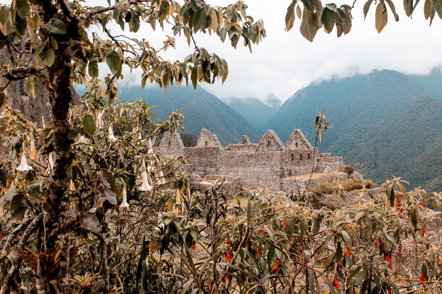 Incan Structure in Machu Picchu. Dying to visit but not sure if you can afford it? Read my guide to find out how to visit Machu Picchu on a budget