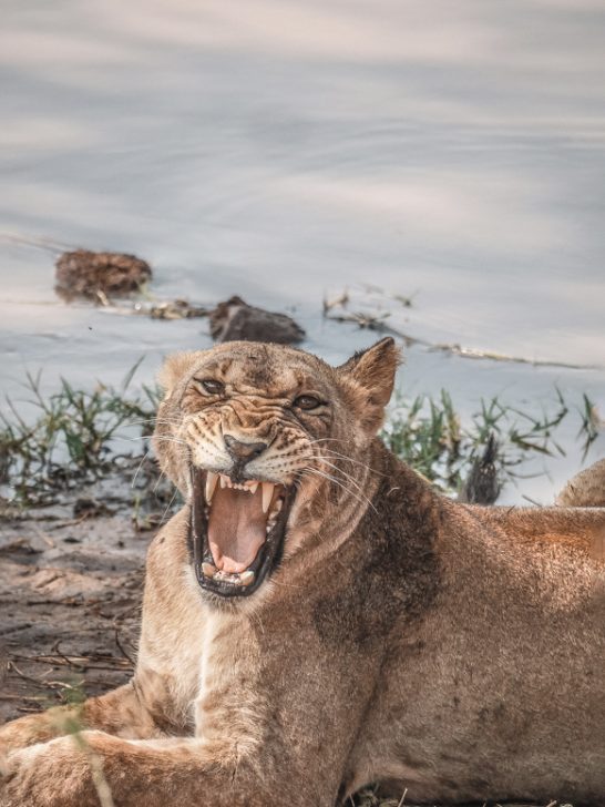 Things to do in Moshi, Tanzania