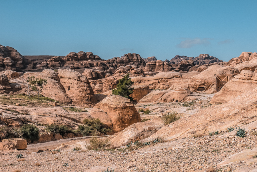 Petra in a day: Glorious desertscapes
