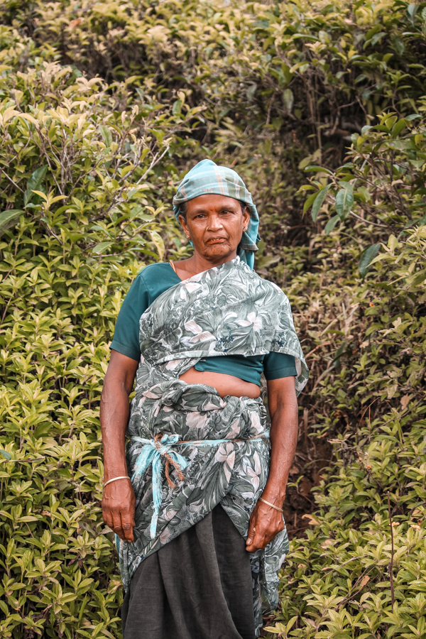 Meeting locals while strolling through Ella's tea plantations in Sri Lanka