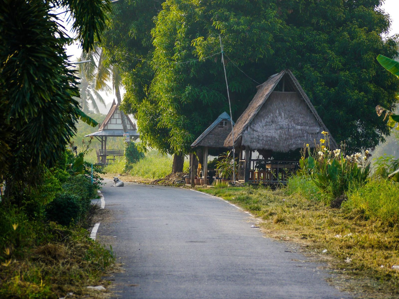 My home in Thailand for over a year before I started blogging and freelancing to make money while travelin My home in Thailand for over a year before I started blogging and freelancing to make money while travelin