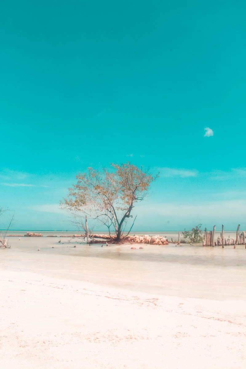 A walk to Punta Mosquito is one of the best things to do in Holbox