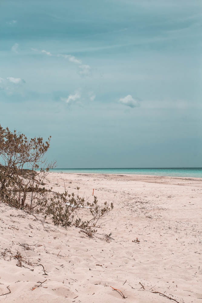 https://nohurrytogethome.com/wp-content/uploads/2019/07/Las-Coloradas-Pink-Lagoons-1835.jpg