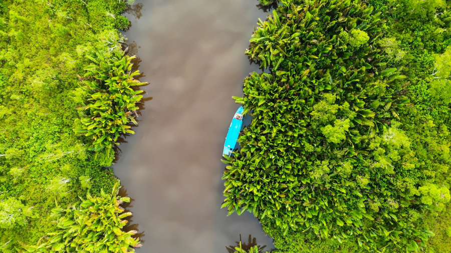 Klias Wetlands are one of the best day trips from Kota Kinabalu