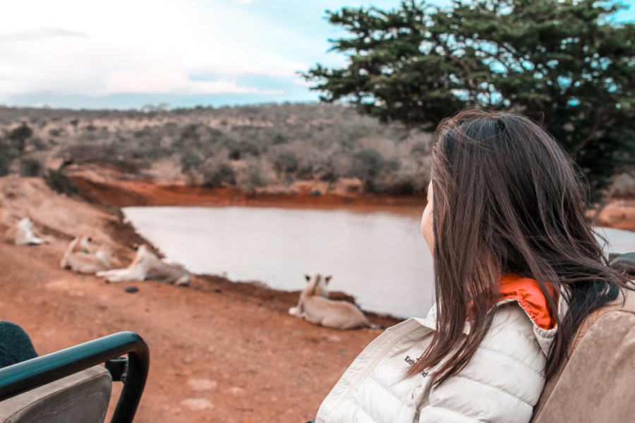 Thanda Safari Review-5758
