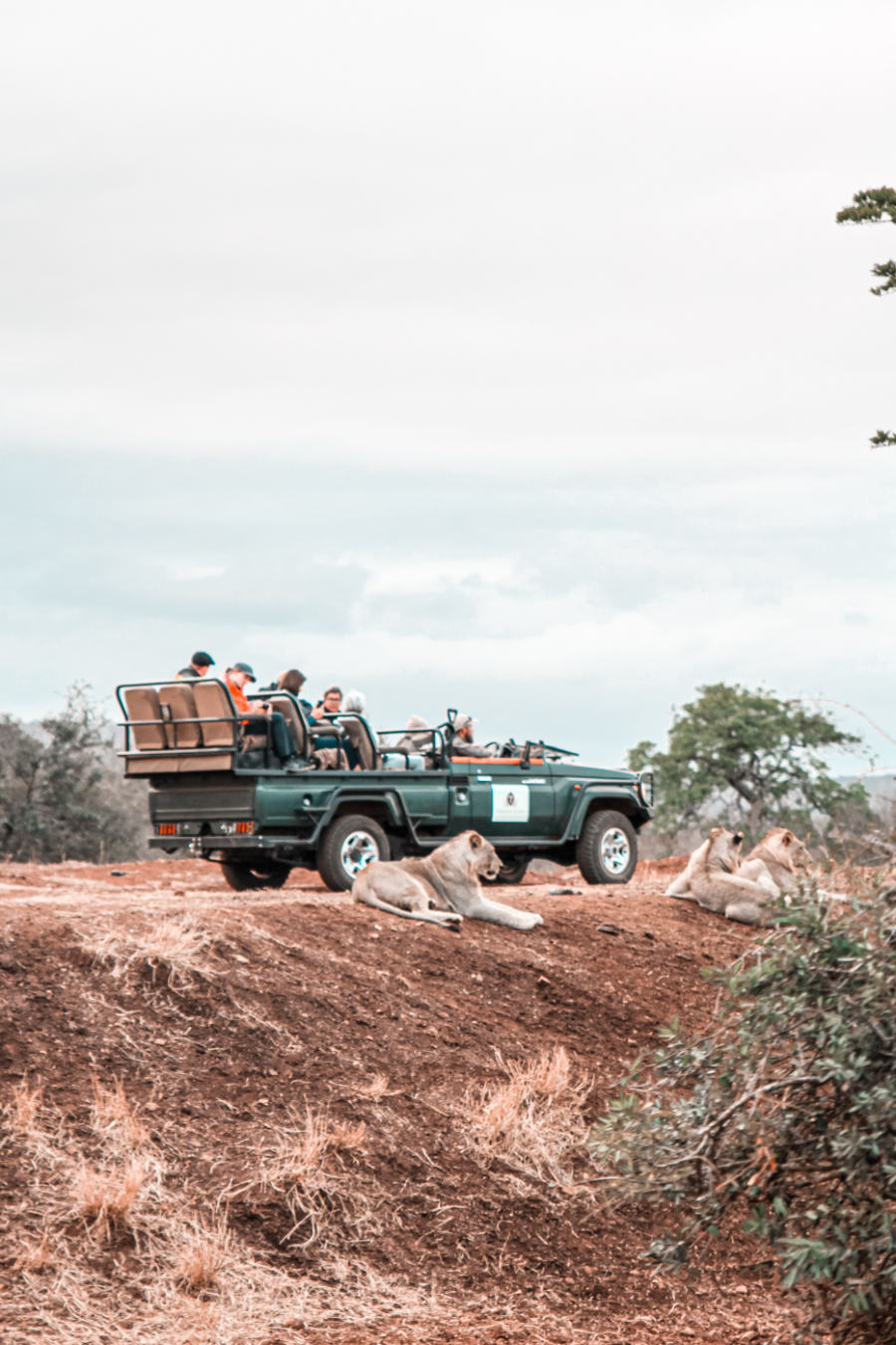 Thanda Safari Review-5775