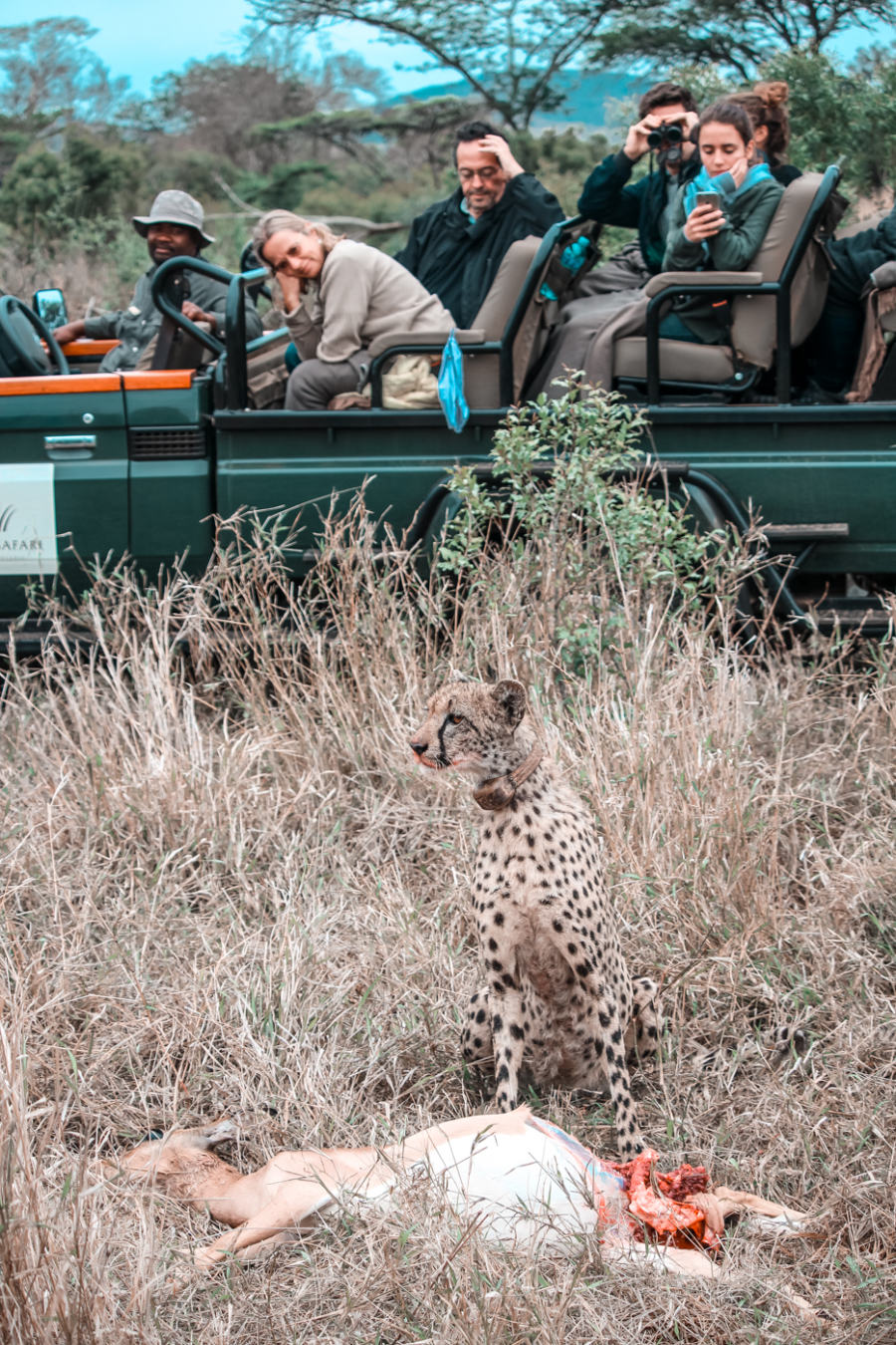 Thanda Safari Review-6308