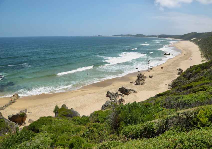 things to do in knysna