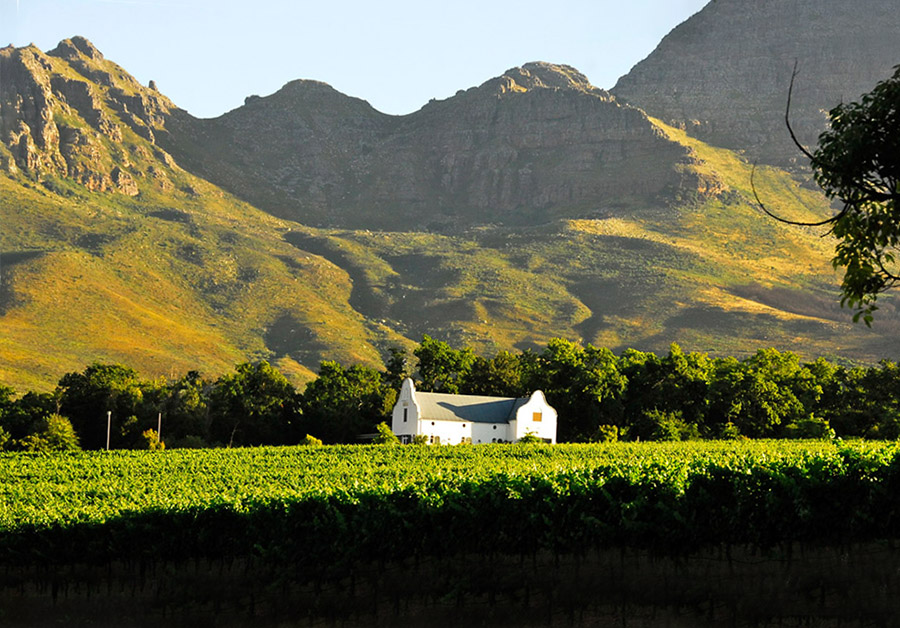 Stellenbosch Wine Farms You Have To Check Out - No Hurry To Get Home