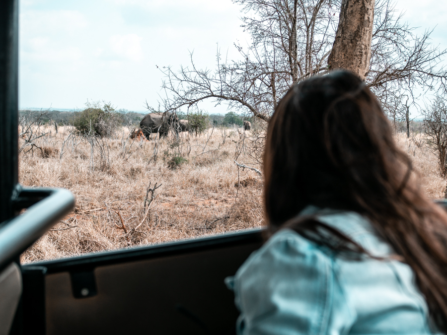 Watching elephants on a game drive in Hlane National Park, one of the most thrilling things to do in Swaziland