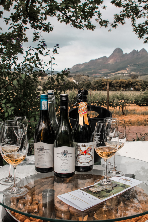Wine Farms in Stellenbosch - Ken Forrester-2 Wine Farms in Stellenbosch - Ken Forrester-2