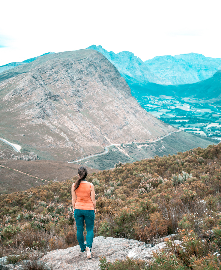 Mont Rochelle Nature Reserve, an easy day trip in Franschhoek
