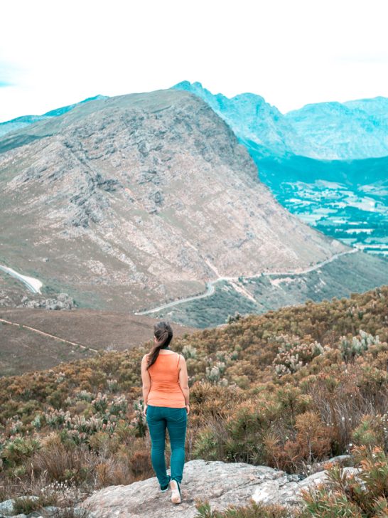 Stellenbosch Wine Farms You Have To Check Out
