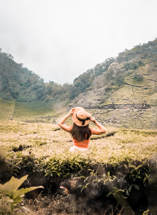 The Ultimate Guide To Travel Bandung (PLUS BEST THINGS TO DO!)