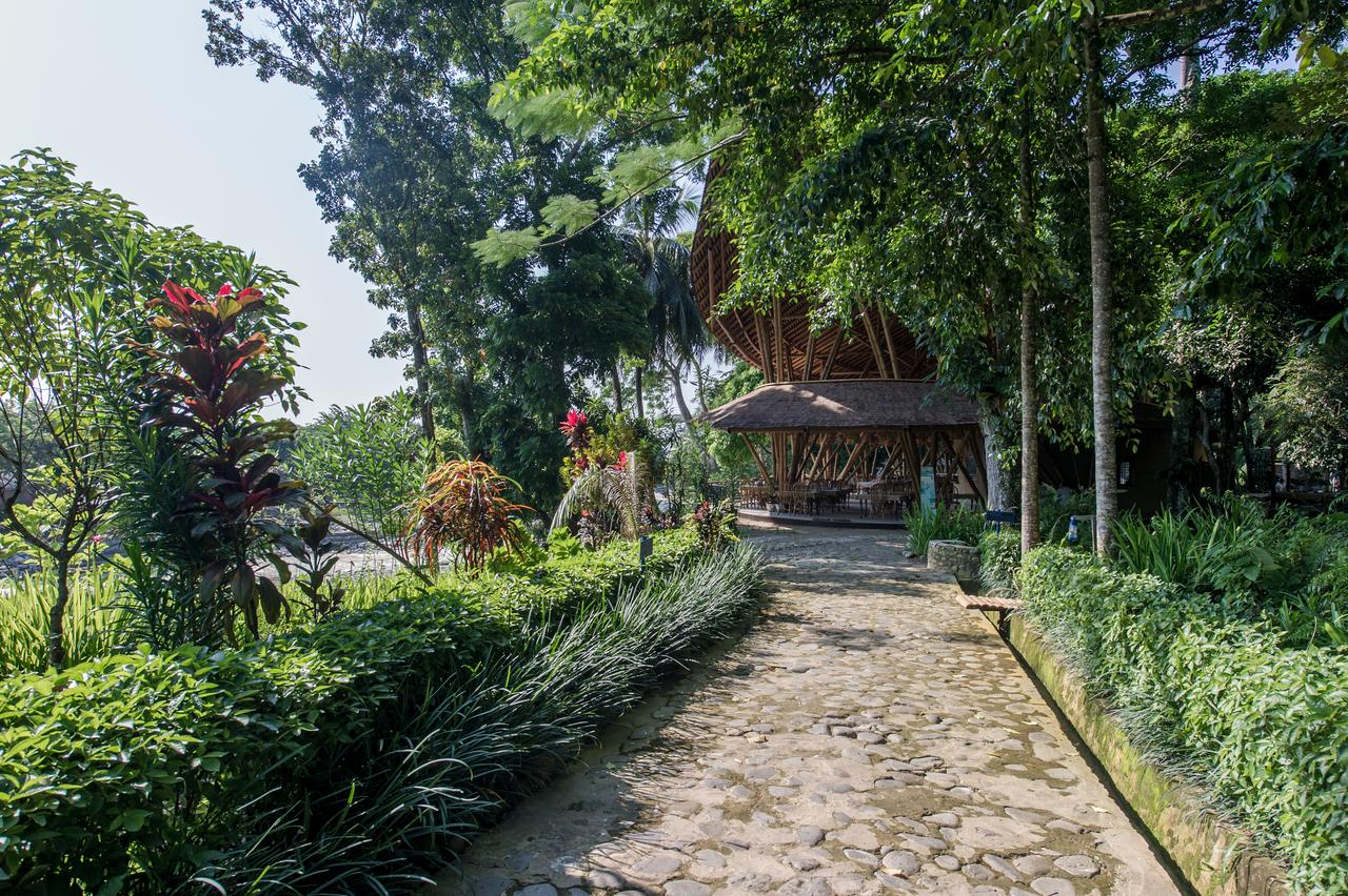 Things to Do in Bukit Lawang: Orangutans, Humongous Flowers, and More ...