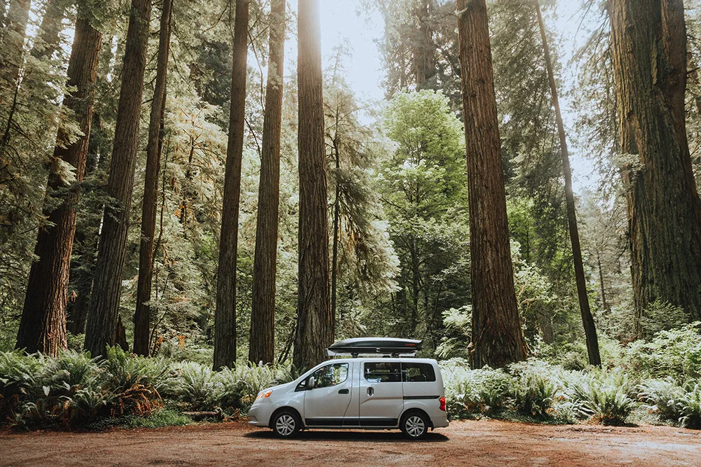 Best National Parks to visit in spring