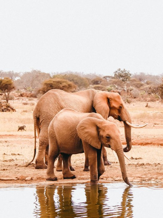 Africa destinations