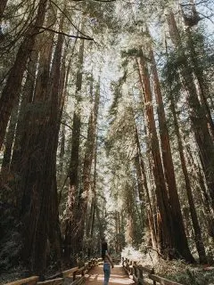 Unique state parks in California