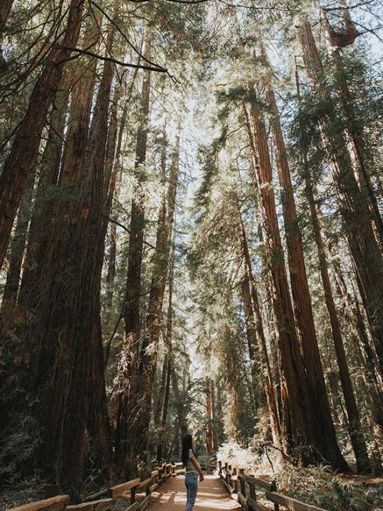 Unique Places To Visit In California For The Best Trip Ever
