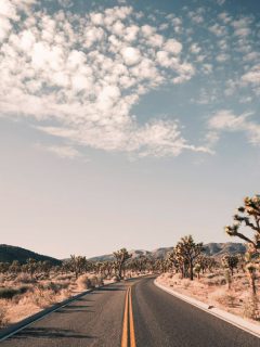 scenic drives in southern California