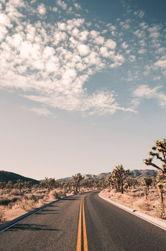 scenic drives in southern California