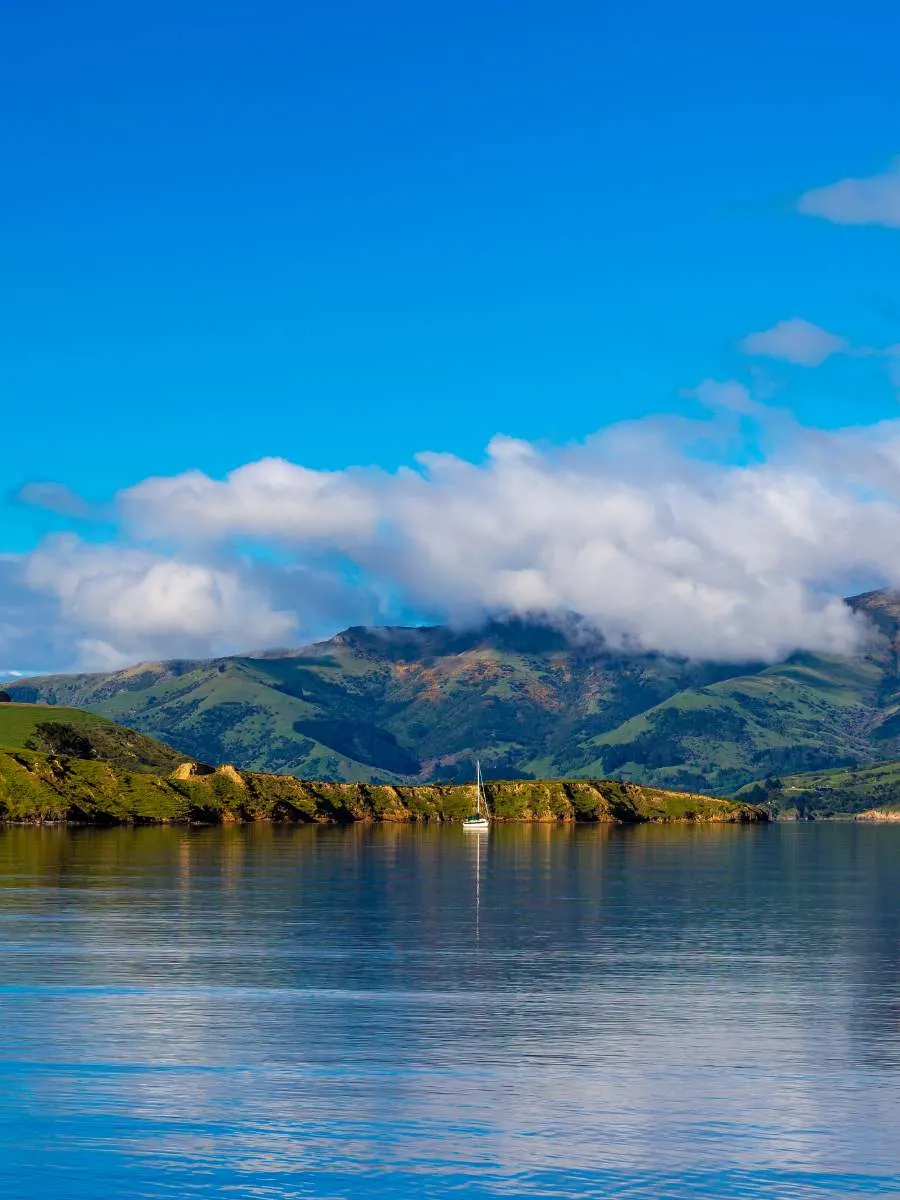 things to do in south island of new zealand