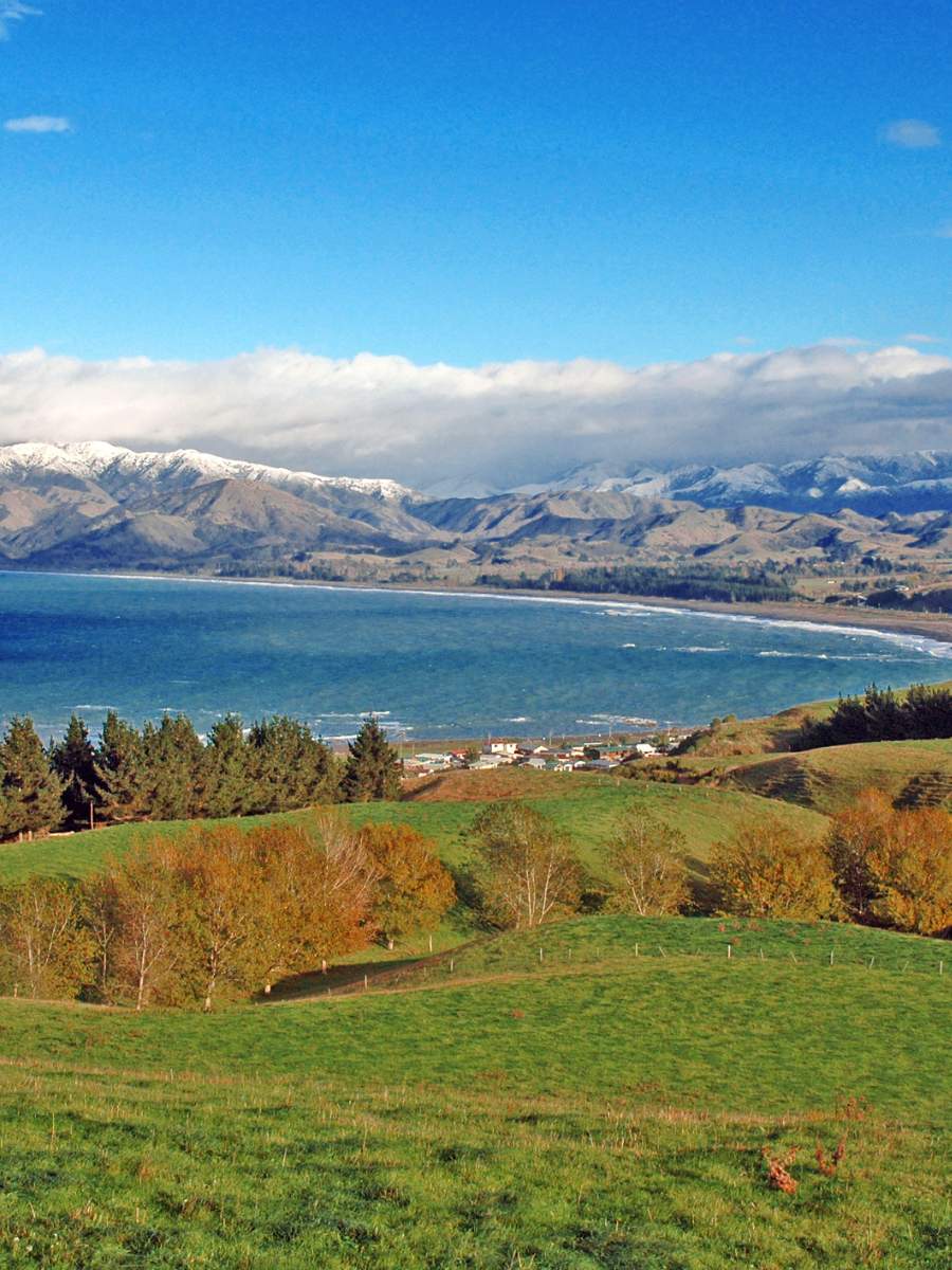 things to do in south island of new zealand