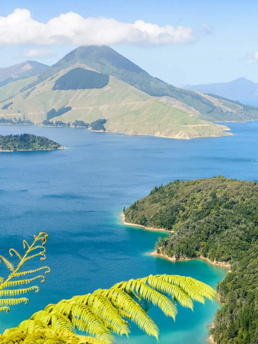 things to do in south island of new zealand