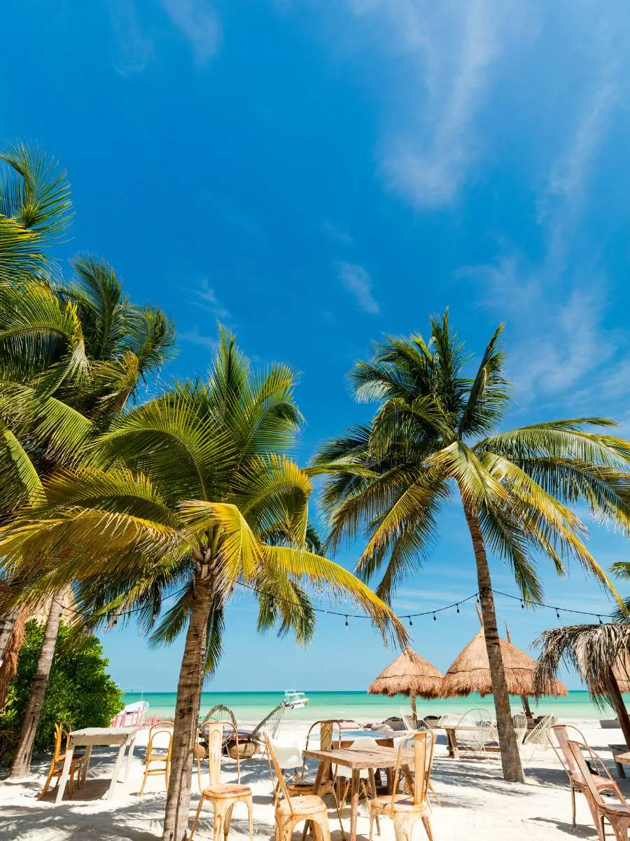 how to get to holbox