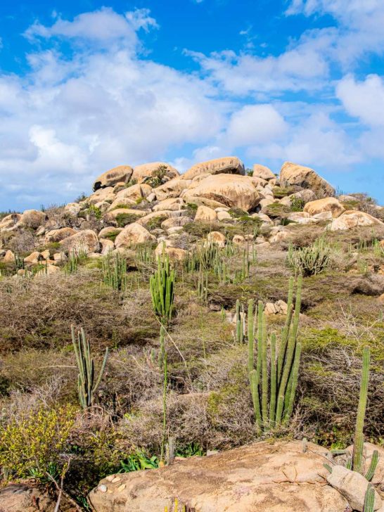 Unique Things to Do in Aruba - No Hurry To Get Home
