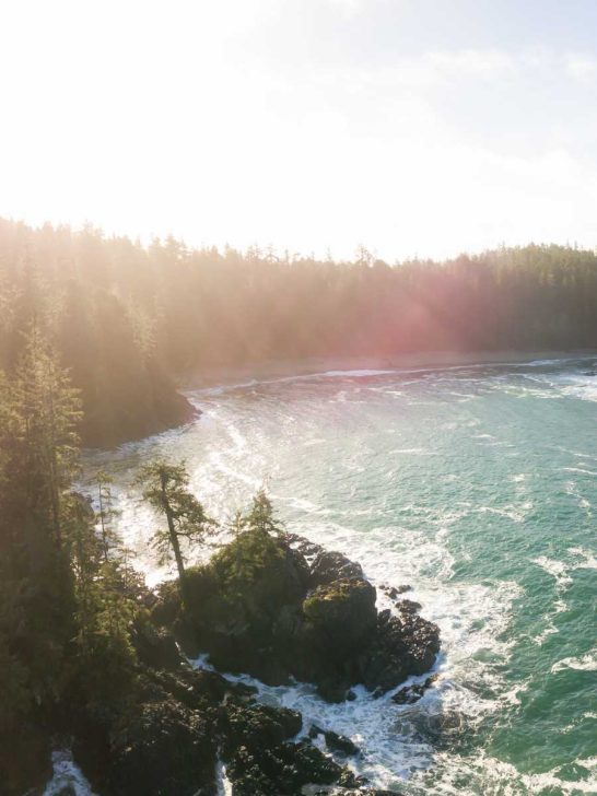 11 Solo Things To Do In Vancouver British Columbia