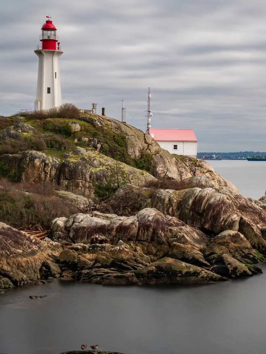 solo things to do in vancouver