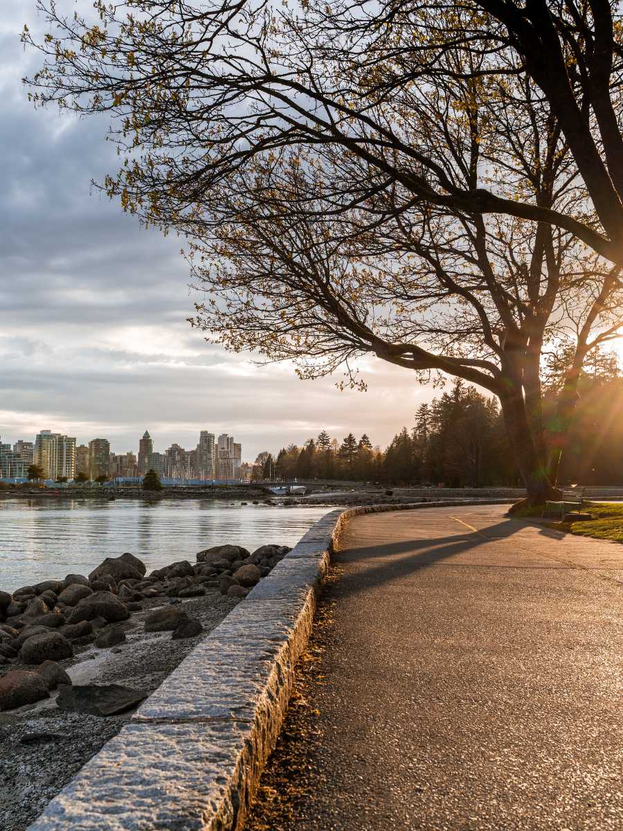 solo things to do in vancouver