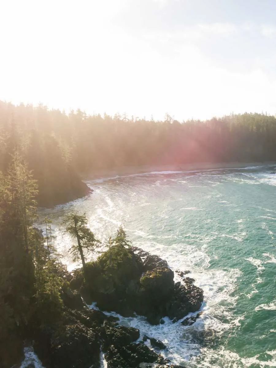 solo things to do in vancouver