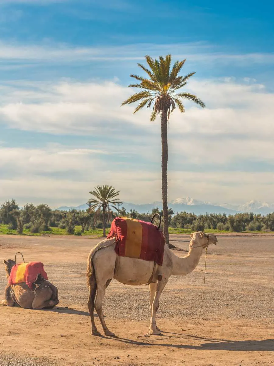 Best Time to Visit Morocco