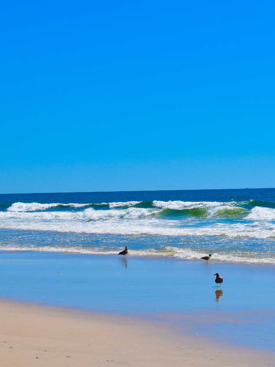 Day Trips from New York Cit
