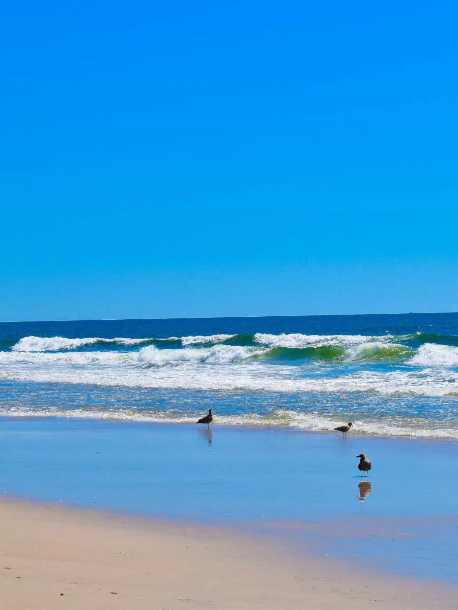 Day Trips from New York Cit