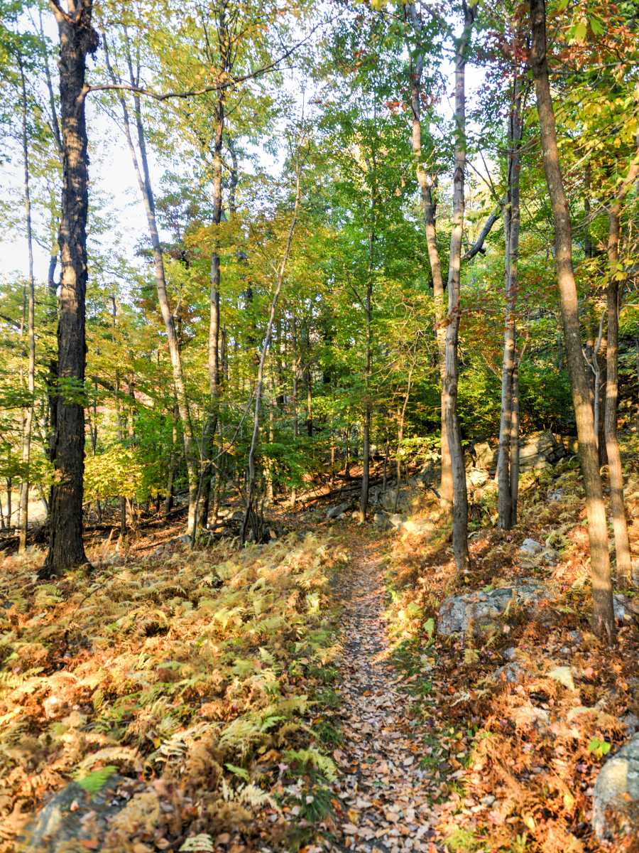Day Trips from New York Cit