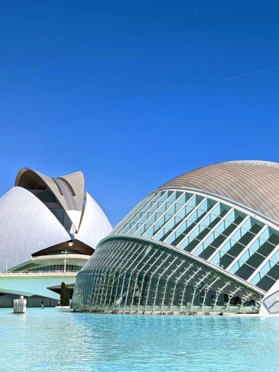 8 Remarkable Dining Experiences in Valencia (For True Foodies!)