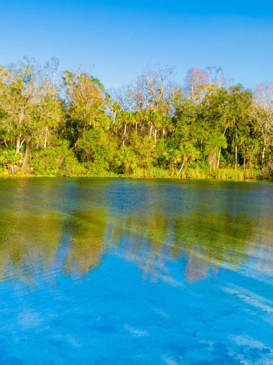 19 Best Springs in Florida in 2023 – Mapped — Finding Hot Springs
