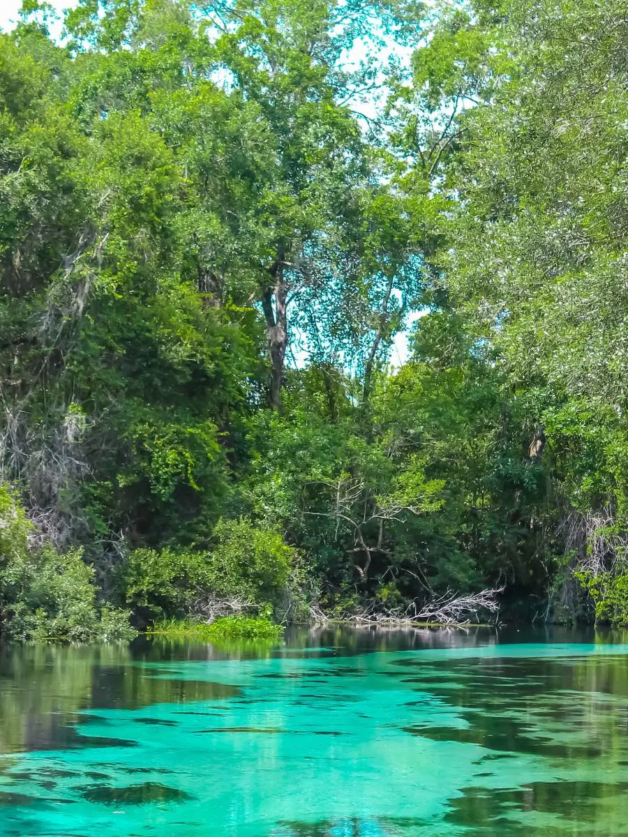 hot springs in florida