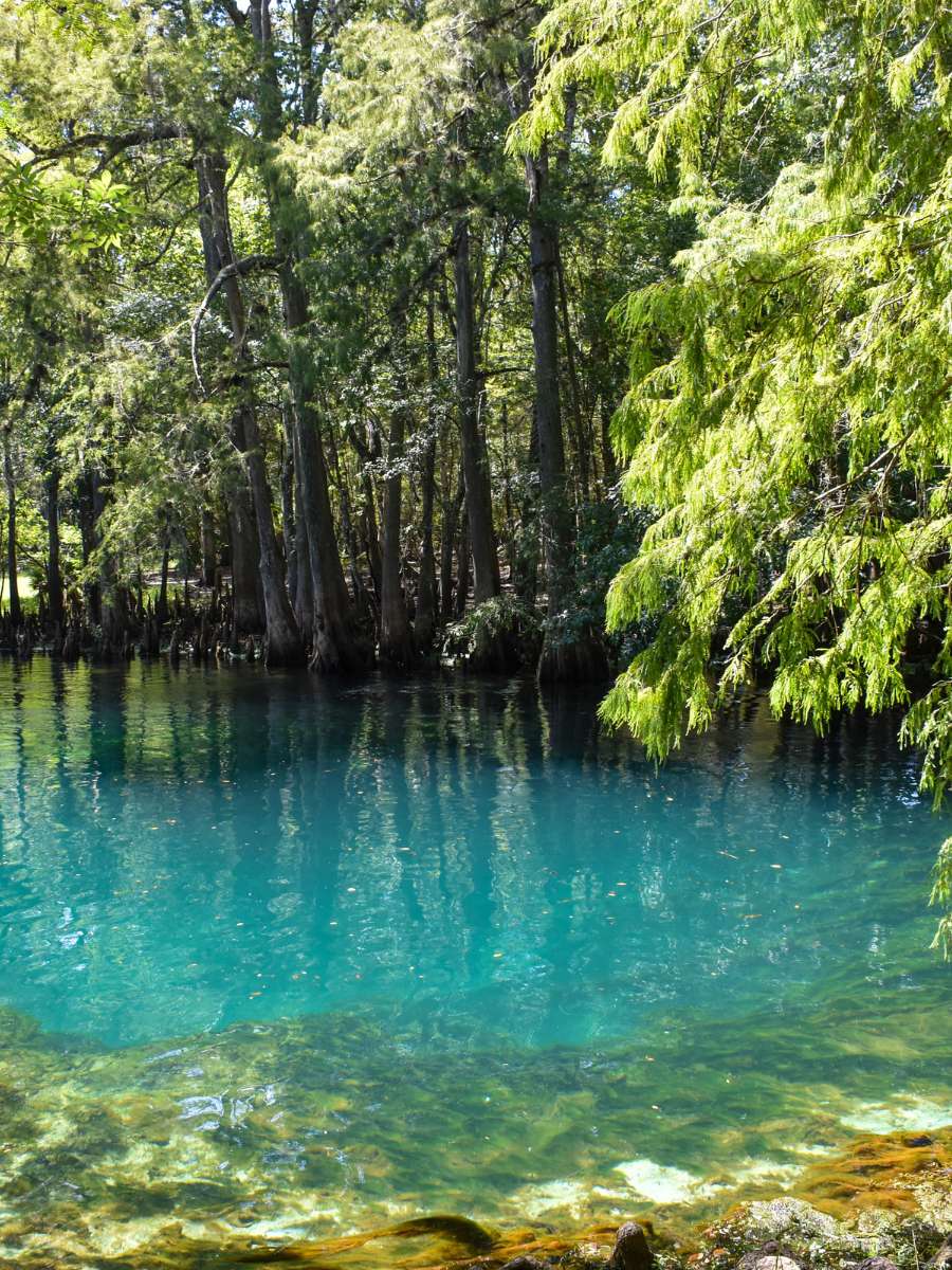 Cool Off at the Best Natural Springs in Florida