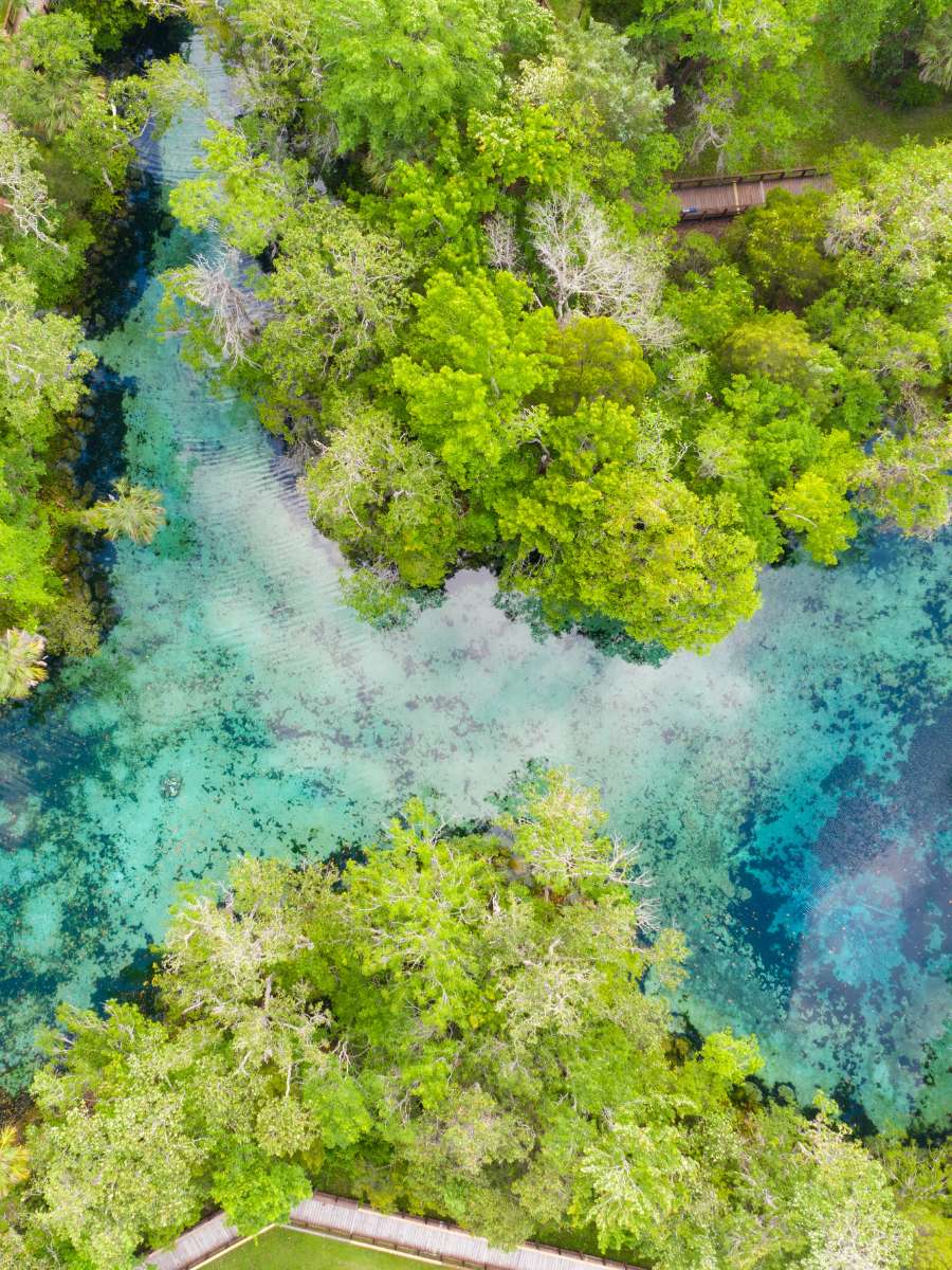 19 Best Springs in Florida in 2023 – Mapped — Finding Hot Springs