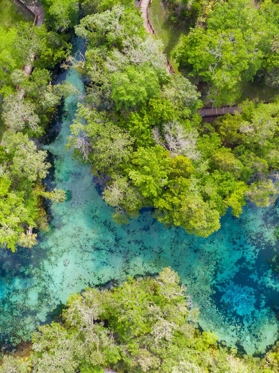 Cool Off at the Best Natural Springs in Florida