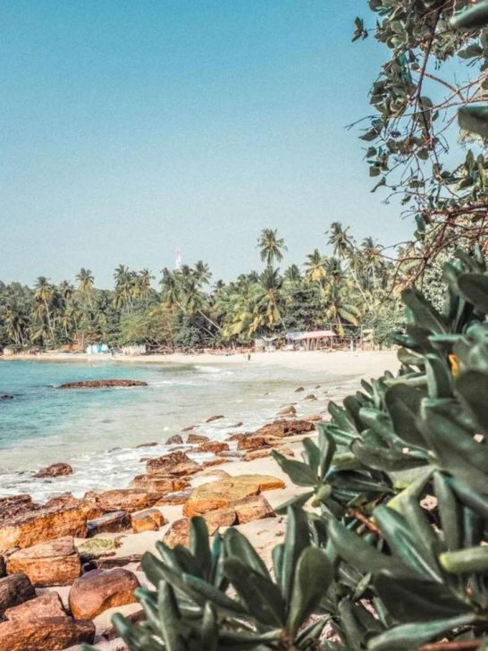 A Wonderful 2 Week Sri Lanka Itinerary for First-Timers